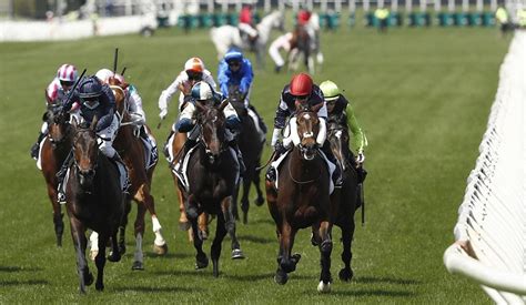 quinella horse bet|Iba pa.